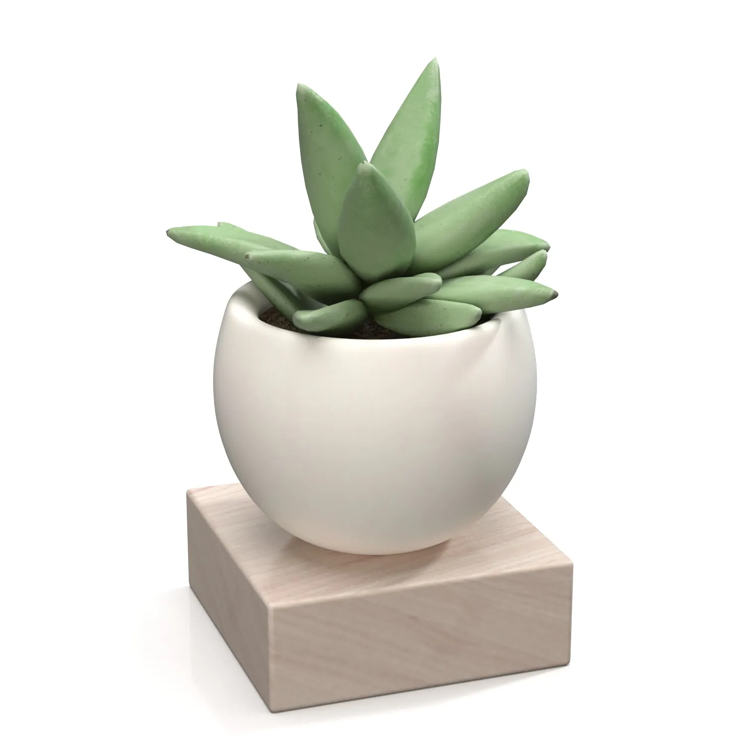 Mini Decorative Fake Succulent Artificial Plants PBR 3D Model_03